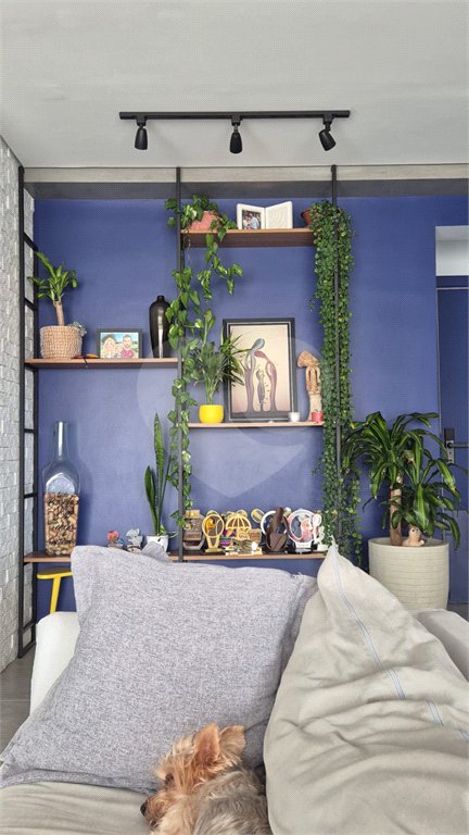 Apartamento à venda com 2 quartos, sendo 1 suíte,  em Quarta Parada, São Paulo, SP