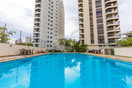 Apartamento lindo - Jardim Sul - 4 quartos