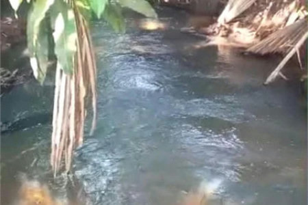 Fazenda à venda com 2 quartos no Centro, Estreito, MA