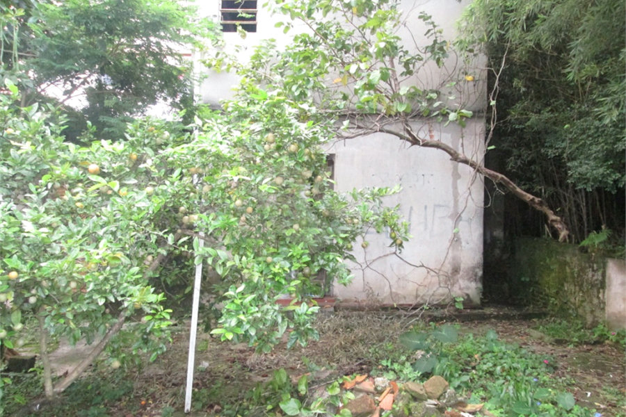 Casa Térrea à venda com 1 quarto em Santana, São Paulo, SP