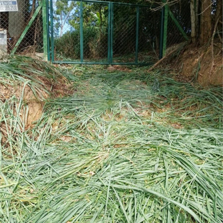 Terreno à venda em Vale Verde, Valinhos, SP