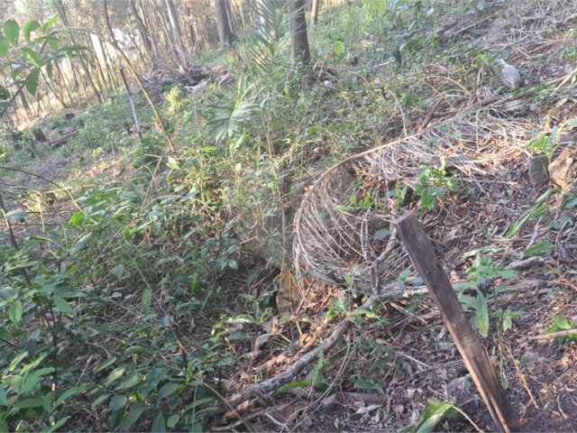 Terreno à venda em Serra da Cantareira, Mairiporã, SP