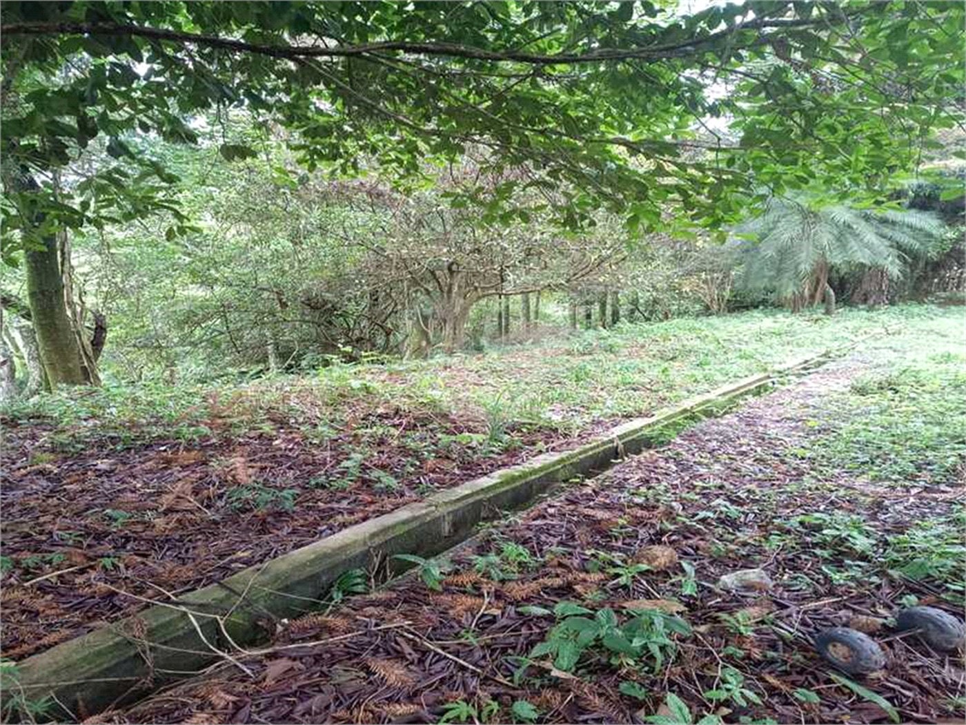 Terreno à venda no condomínio Associação Reserva das Hortênsias, Mairiporã - SP