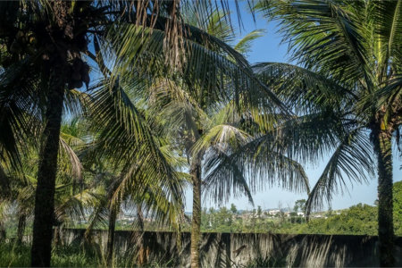 Área de Terra à venda com 1 suíte em Campo Grande, Rio de Janeiro, RJ