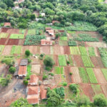 Terreno à venda em Jardim Itaú, Ribeirão Preto, SP