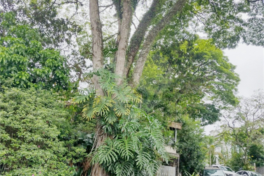 Sobrado à venda com 3 quartos em Tremembé, São Paulo, SP