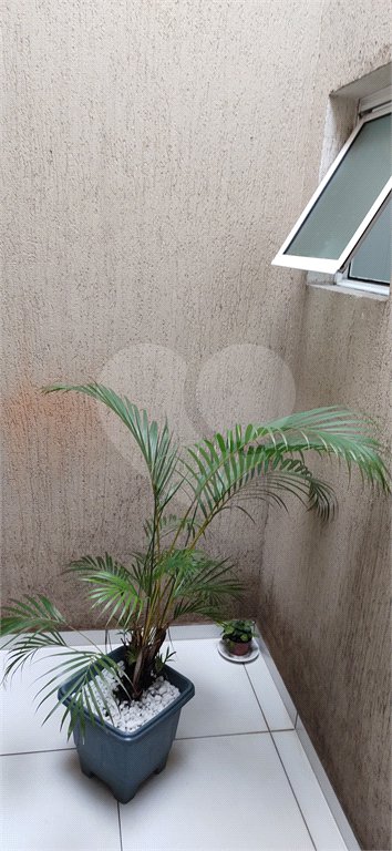 Sobrado à venda com 3 quartos em Pirituba, São Paulo, SP