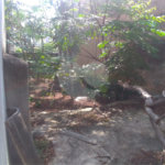 Terreno à venda em Casa Verde, São Paulo, SP