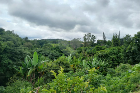 Terreno à venda em Parque dos Cafezais III, Itupeva, SP