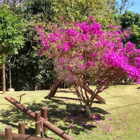 Terreno à venda com 1 suíte no condomínio Picollo Villaggio, Louveira - SP