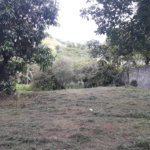 Terreno à venda ou para alugar com 4 quartos, sendo 1 suíte, em Tremembé, São Paulo, SP