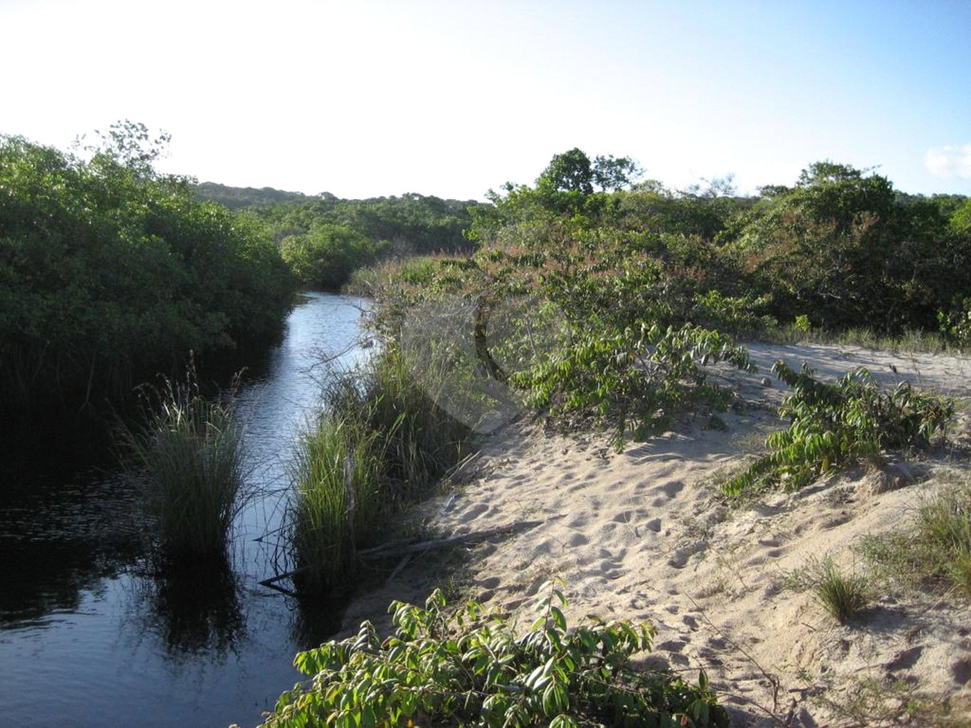 Área de Terra à venda em Mogiquiçaba, Belmonte, BA
