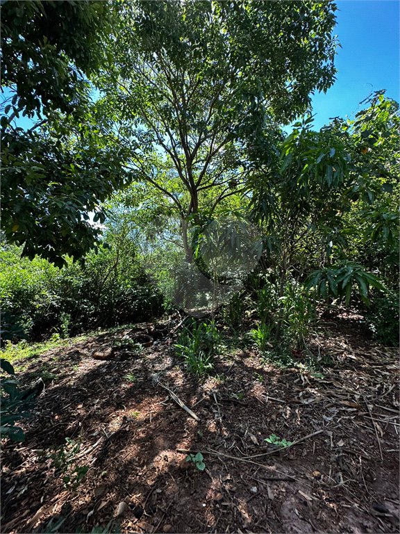 Terreno à venda em Residencial Emilio de Andrade, Ponta Porã, MS