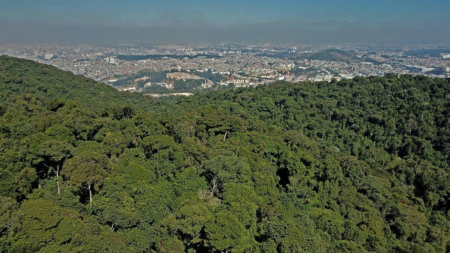 Condomínios na Serra da Cantareira: conheça os diferenciais de morar em meio à natureza com segurança