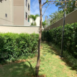 Apartamento à venda com 3 suítes em Bela Aliança, São Paulo, SP