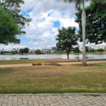Casa em condomínio à venda com 3 suítes, em Iporanga, Sorocaba, SP
