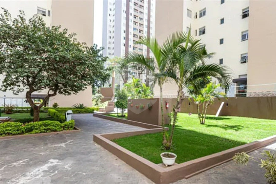 Apartamento à venda com 3 quartos em Vila Nova Cachoeirinha, São Paulo, SP