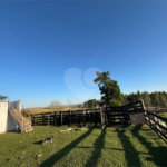 Sítio à venda com 3 quartos, sendo 1 suíte,  em Canta Galo, Itapetininga, SP