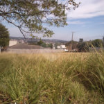 Terreno à venda em Bosque, Vinhedo, SP