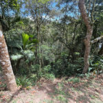 Terreno à venda no condomínio Alpes da Cantareira, Mairiporã - SP