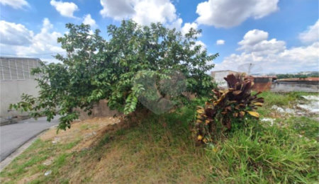 Terreno à venda em Capela, Vinhedo, SP