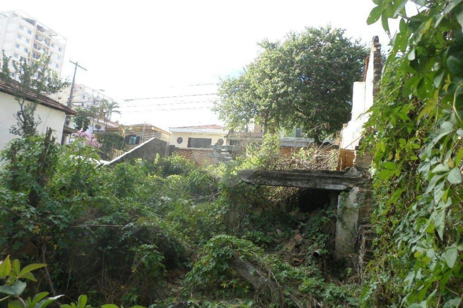 Terreno à venda ou para alugar em Água Fria, São Paulo, SP