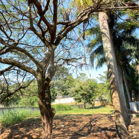 Casa à venda com 6 quartos, sendo 5 suítes,  em Santa Claudina, Vinhedo, SP