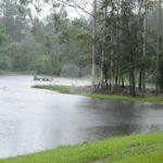 Terreno à venda em Horto Florestal, São Paulo, SP