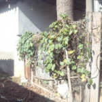 Terreno à venda em Vila Nova Mazzei, São Paulo, SP