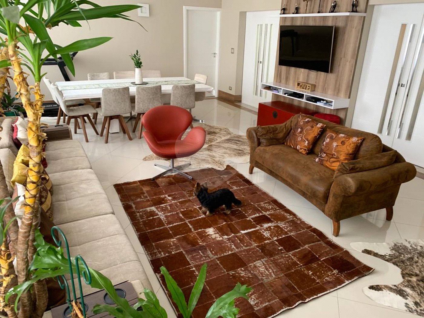Apartamento à venda ou para alugar com 3 quartos, sendo 1 suíte, em Jardim Paulista, São Paulo, SP