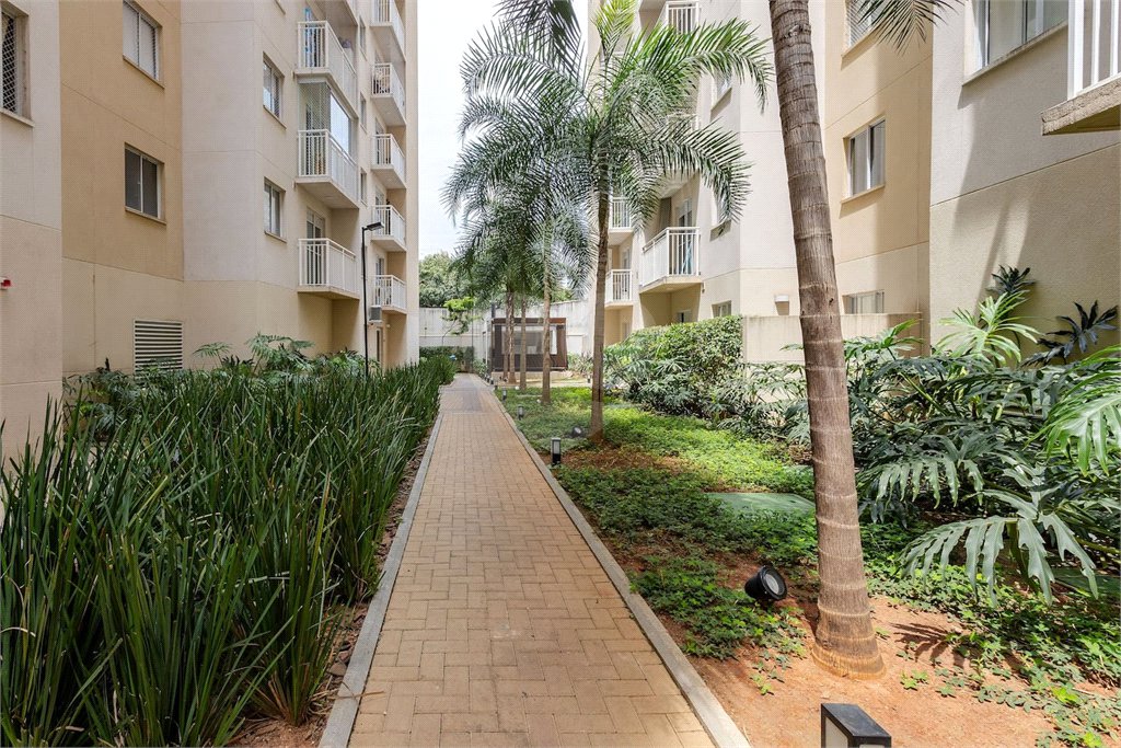 Apartamento à venda ou para alugar com 2 quartos em Barra Funda, São Paulo, SP