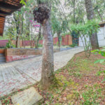 Casa Térrea à venda ou para alugar com 5 quartos, sendo 1 suíte, em Jardim Marajoara, São Paulo, SP