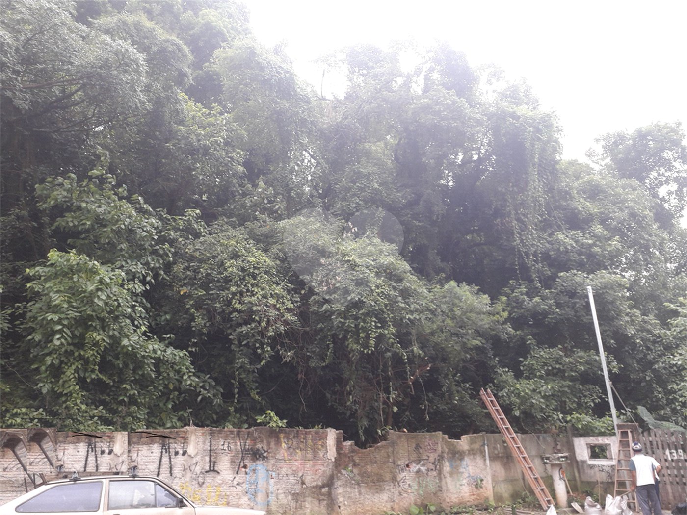 Terreno à venda em Santana, São Paulo, SP