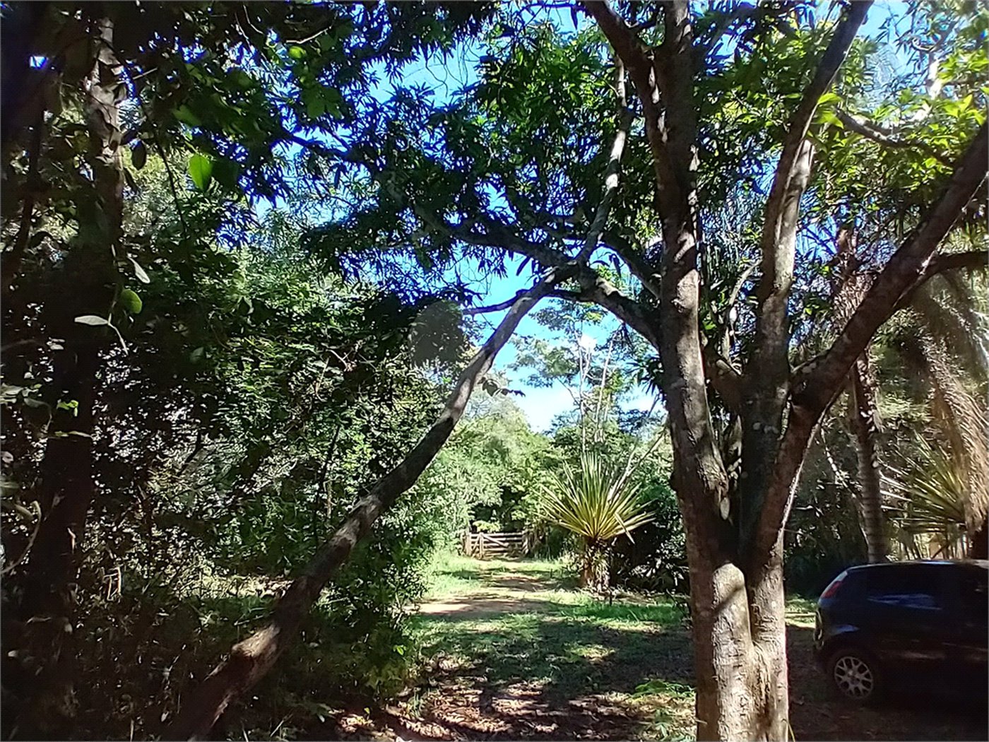 Casa à venda com 1 quarto em Vila Verde, Armação dos Búzios, RJ