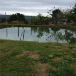 Chácara à venda com 3 quartos, sendo 1 suíte,  em Área Rural de Sarapuí, Sarapuí, SP