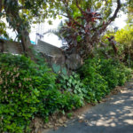Terreno à venda com 2 quartos em Tucuruvi, São Paulo, SP