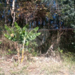 Terreno à venda em Serra da Cantareira, Mairiporã, SP