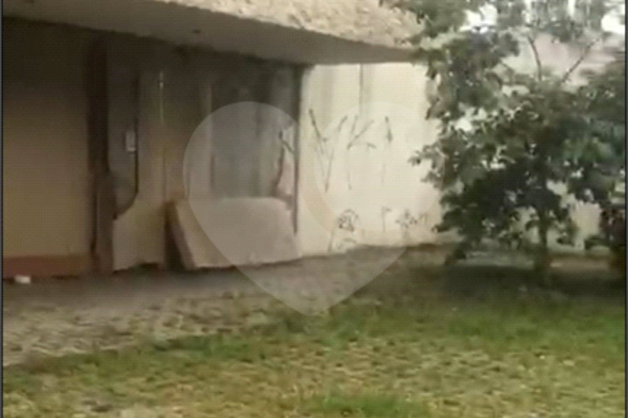Prédio à venda ou para alugar em Imirim, São Paulo, SP