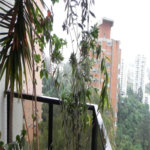 Sobrado à venda com 4 quartos em ANHANGUERA, São Paulo, SP