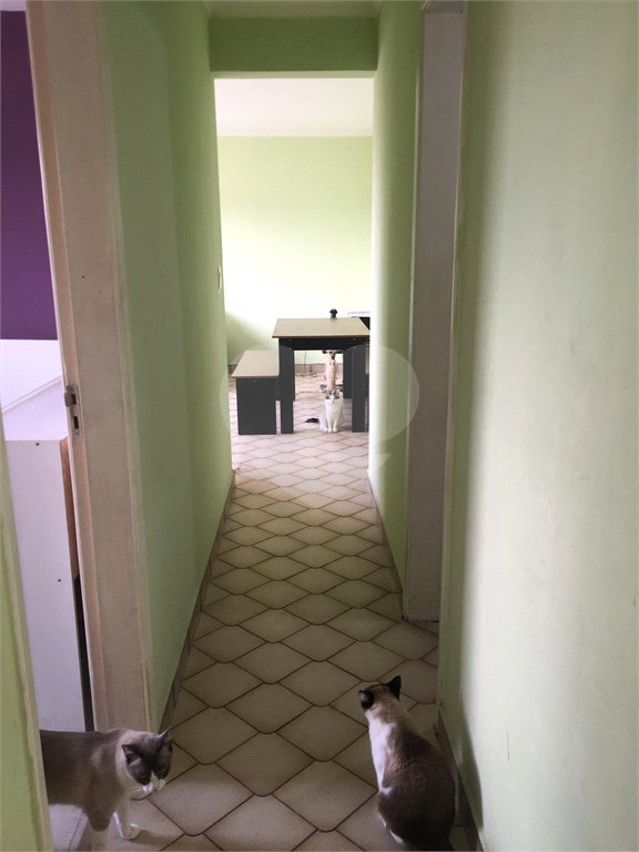 Apartamento para alugar com 3 quartos em Tucuruvi, São Paulo, SP