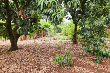 Chácara à venda com 2 quartos em Jardim Califórnia, Araraquara, SP