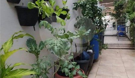 Sobrado à venda com 3 quartos, sendo 1 suíte,  em Jardim Tabatinga, Guarulhos, SP