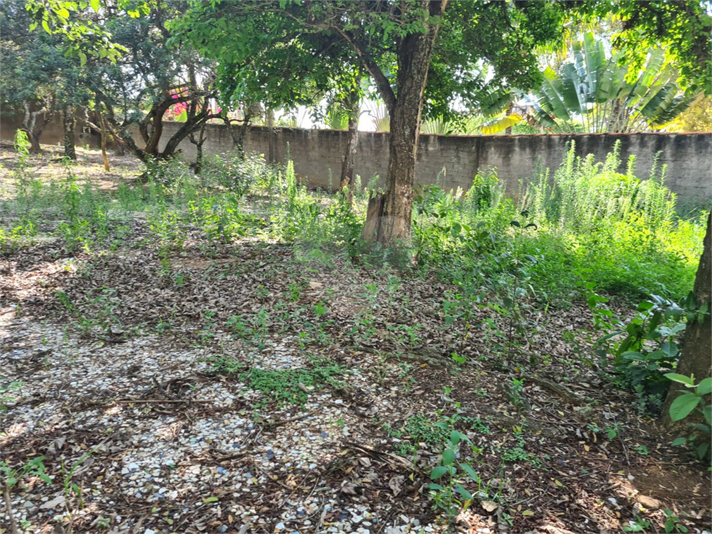 Terreno à venda no Centro, Vinhedo, SP