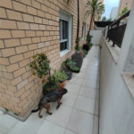 Apartamento Garden na Mooca com 322m² com 4 dormitórios 5 vagas Estuda Permuta