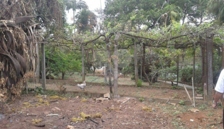 Terreno à venda em Horto Florestal, São Paulo, SP
