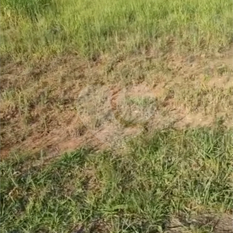 Terreno à venda no condomínio Paradise Garden, Mogi das Cruzes - SP