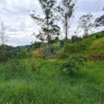 Terreno à venda em Jardim Monte Santo, Itapetininga, SP
