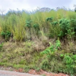 Terreno à venda em Luiz Fagundes, Mairiporã, SP