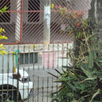 Terreno à venda em Vila Fiuza, Guarulhos, SP