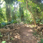 Casa à venda no condomínio Sausalito, Mairiporã - SP